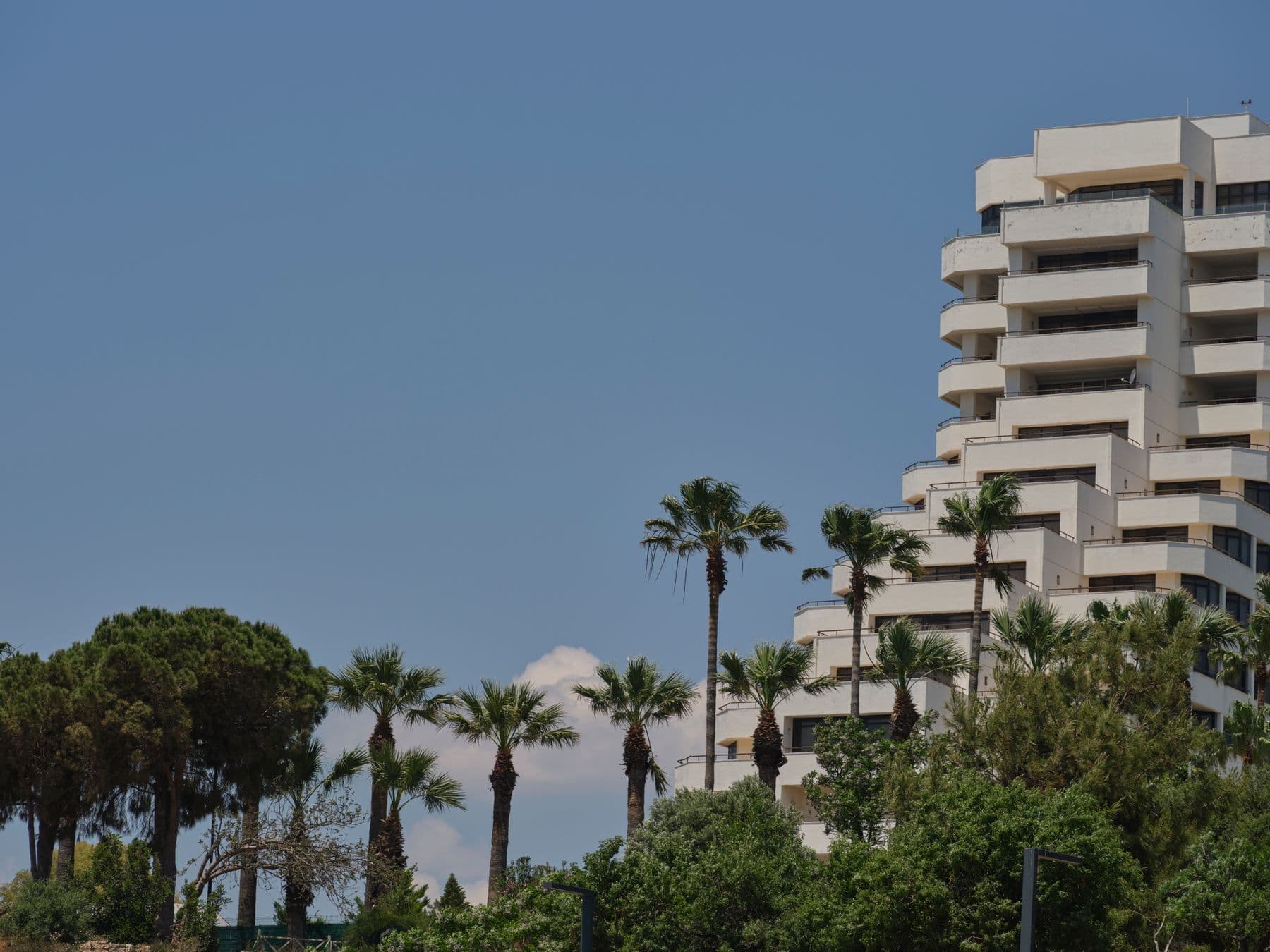 A white hotel building with balconies rising behind tall palm trees.